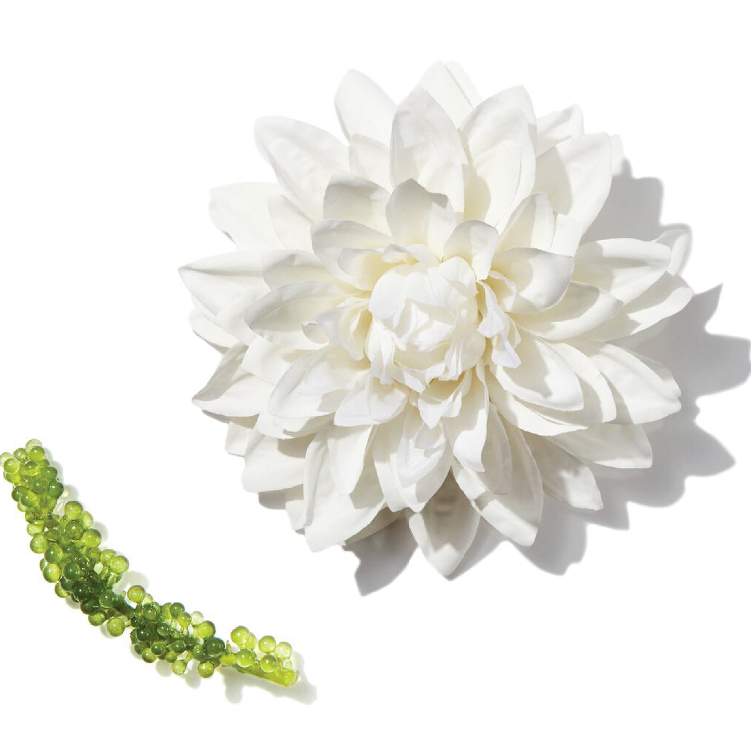 Szampon ALTERNA My Hair My Canvas Me Time Everyday 40 ml - obrazek 2