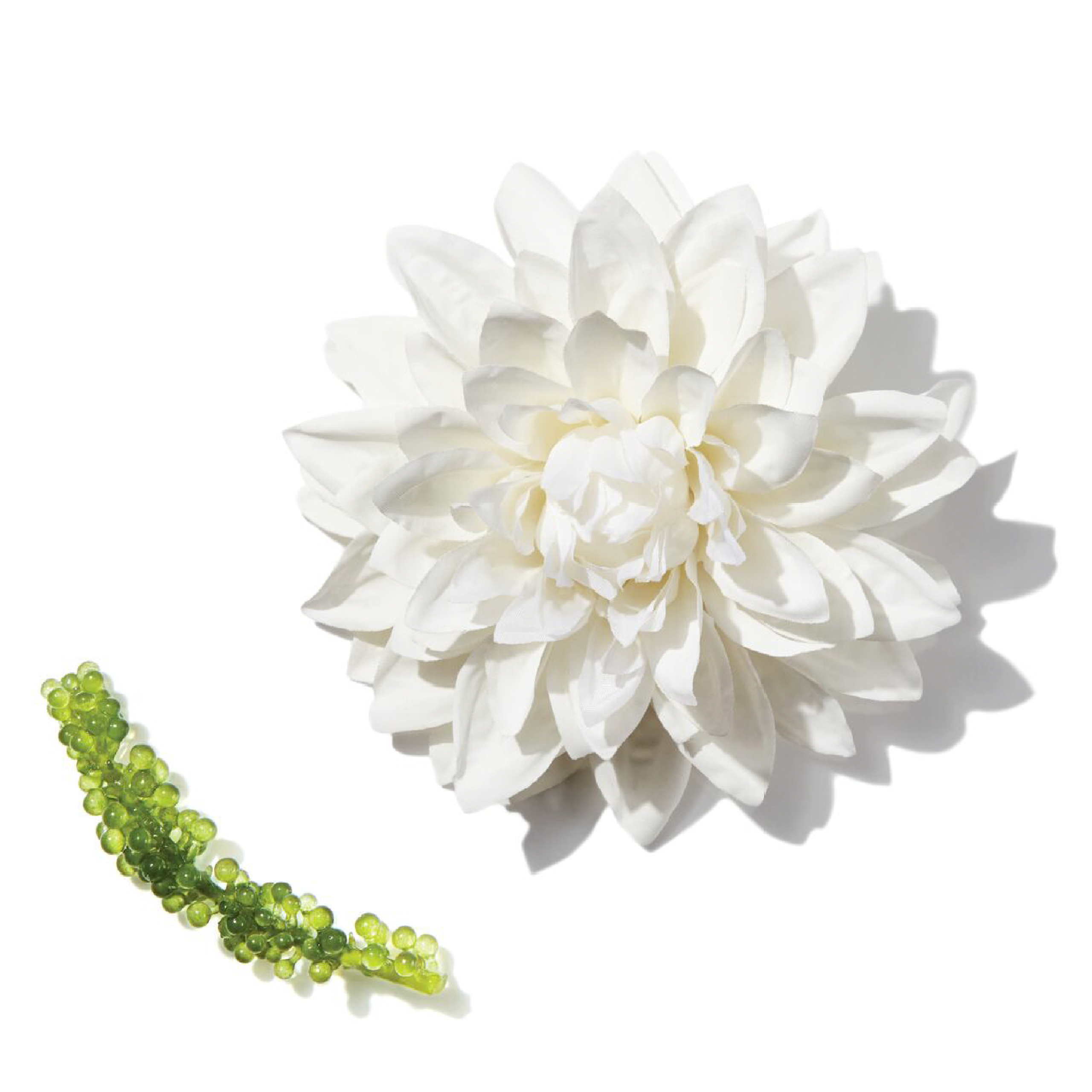 Maska do włosów kręconych ALTERNA My Hair My Canvas More Butter Masque Curl 40 ml - obrazek 3