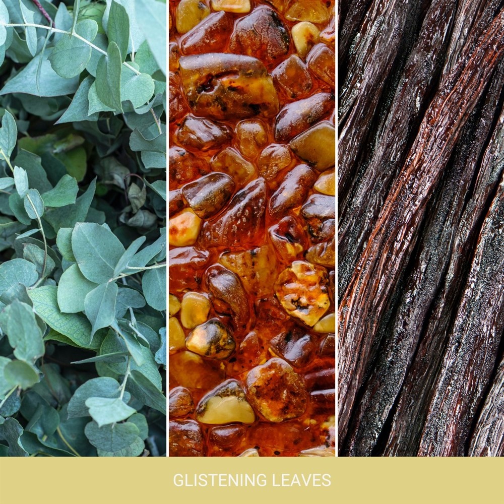 YANKEE CANDLE GLISTENING LEAVES 368G - obrazek 2